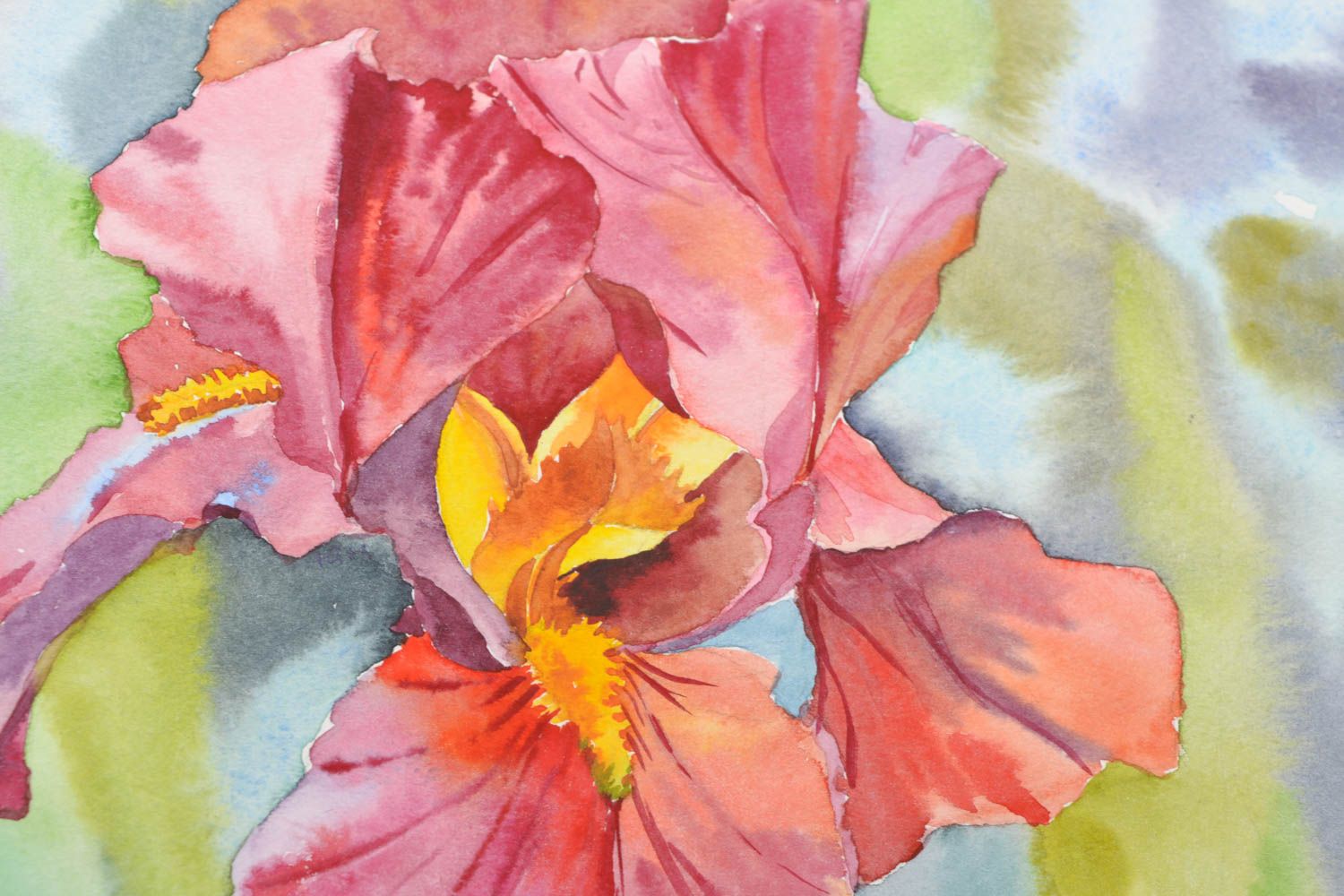 Watercolor painting Iris photo 4