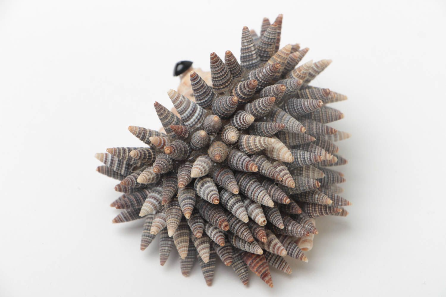 Figura original artesanal con forma de erizo de conchas de mar decorativo foto 3