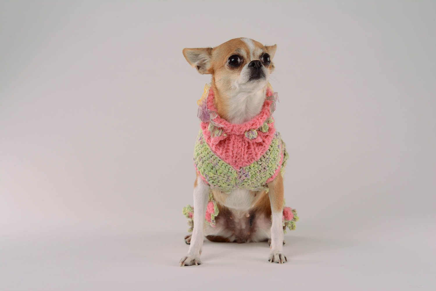 Vestido para cão Paraíso de framboesa de tecido feito à mão  foto 4