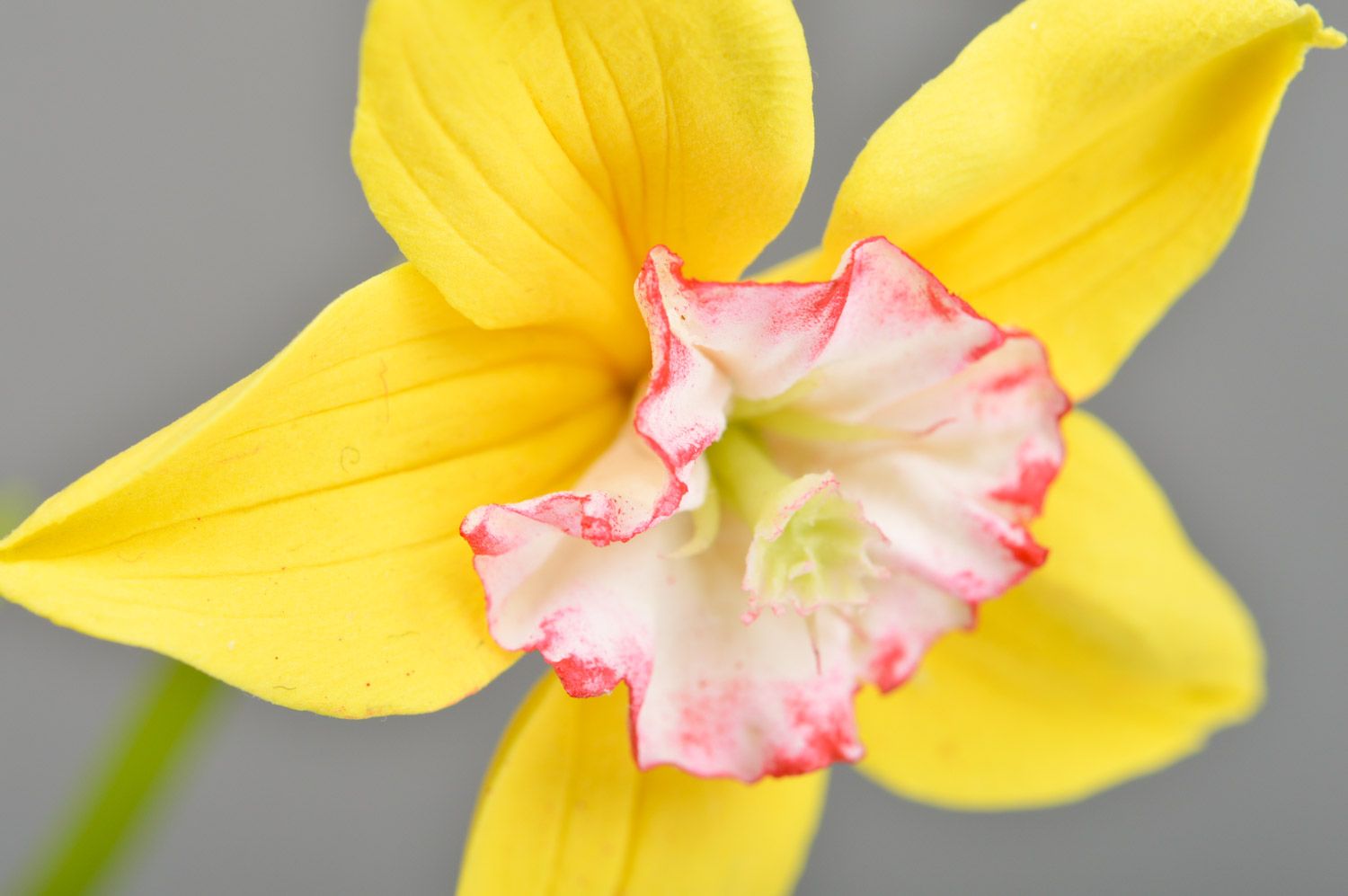 Flor decorativa de arcilla polimérica hecha a mano Narciso  foto 2