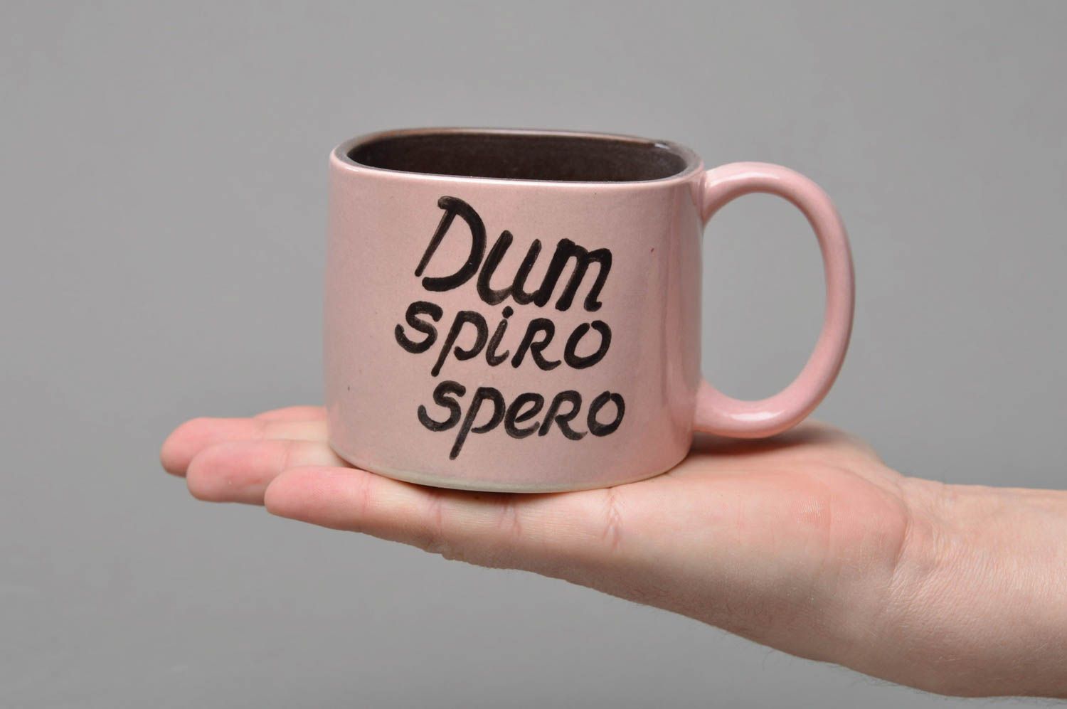 Фарфоровая чашка ручной работы с надписью Dum spiro spero розовая оригинальная фото 4