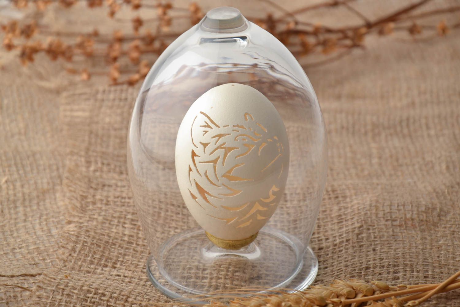 Engraved goose egg Cat photo 1