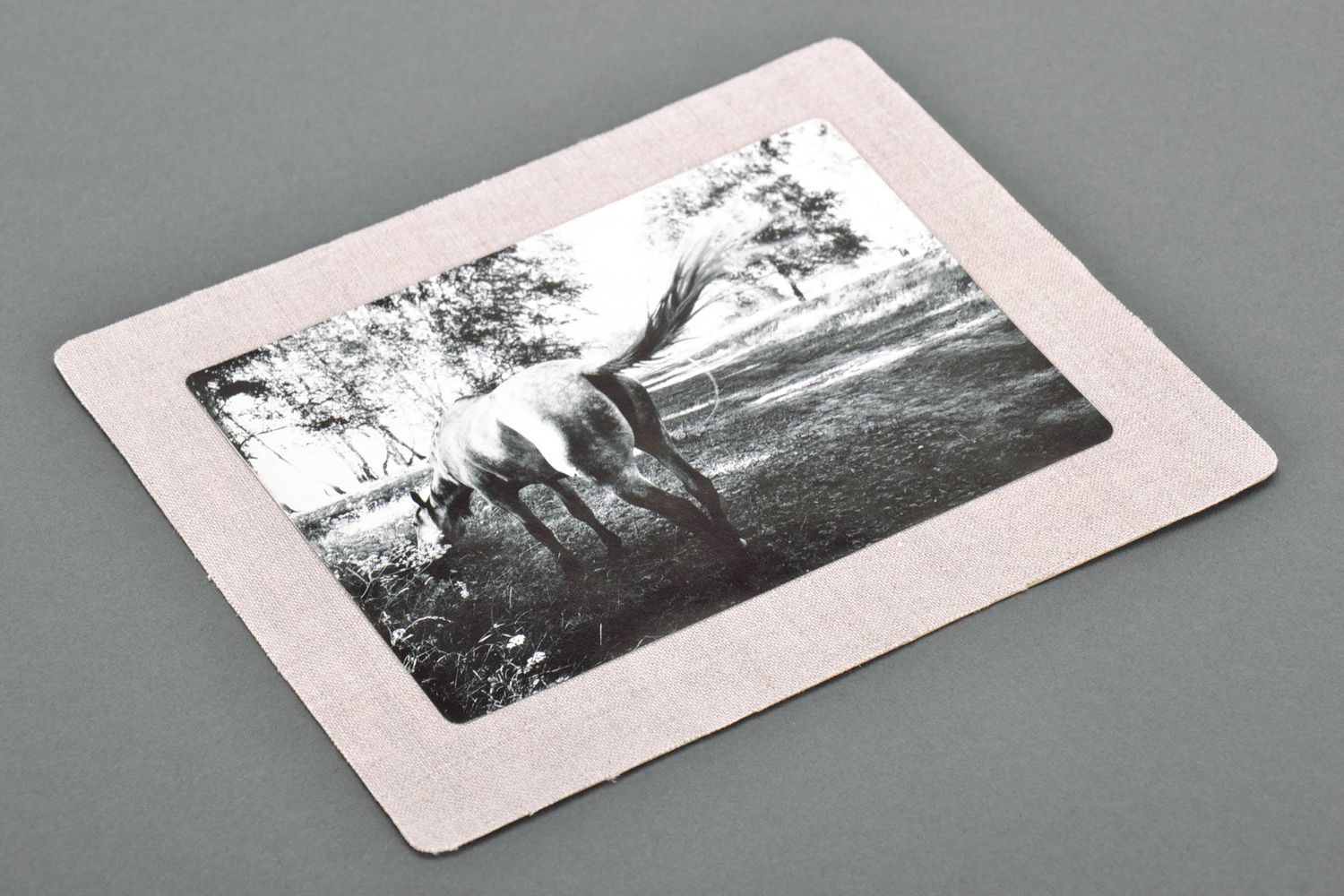 Large black-and-white postcard Horse photo 3