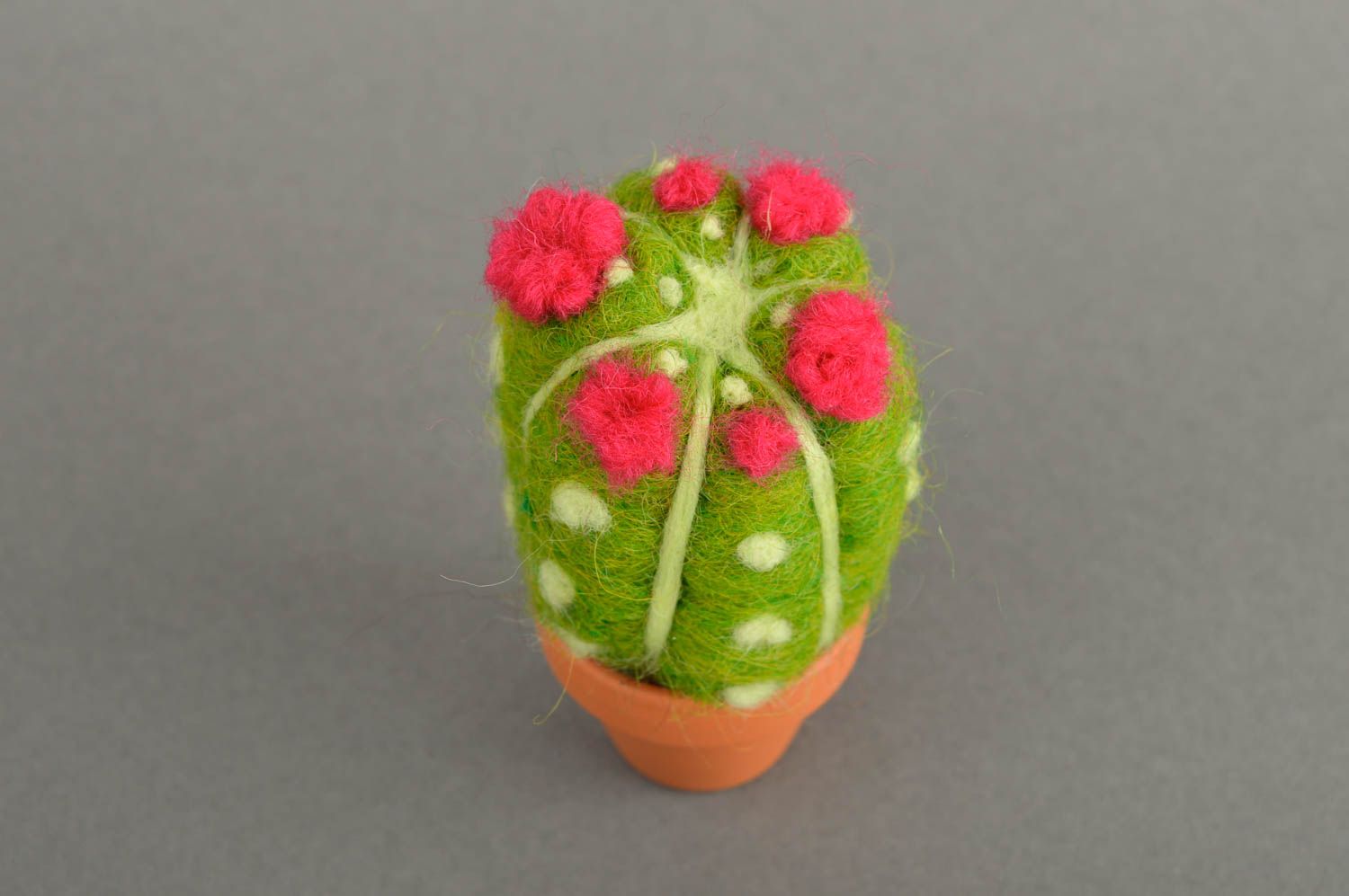 Künstliche Pflanze handmade Plüsch Kaktus Deko Spielzeug Deko aus Naturmaterial foto 3