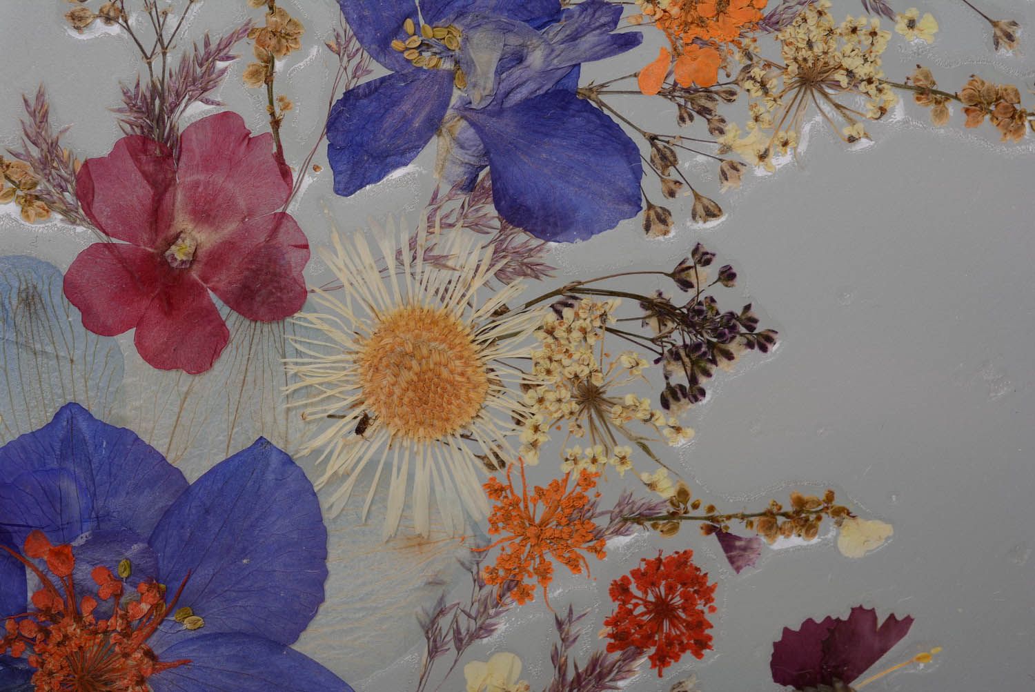 Wall picture with dried flowers photo 4