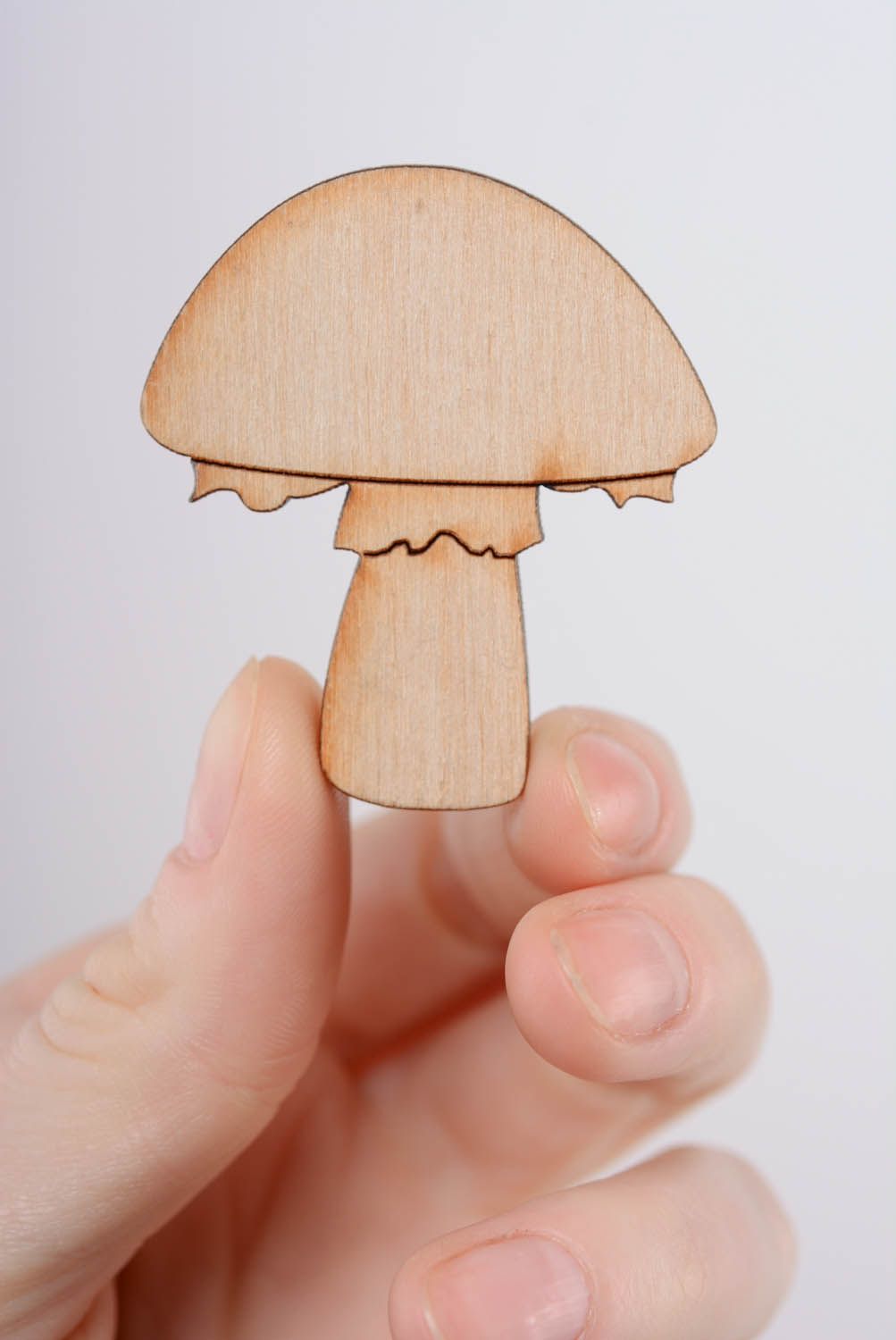 Blank for magnet Mushroom photo 4