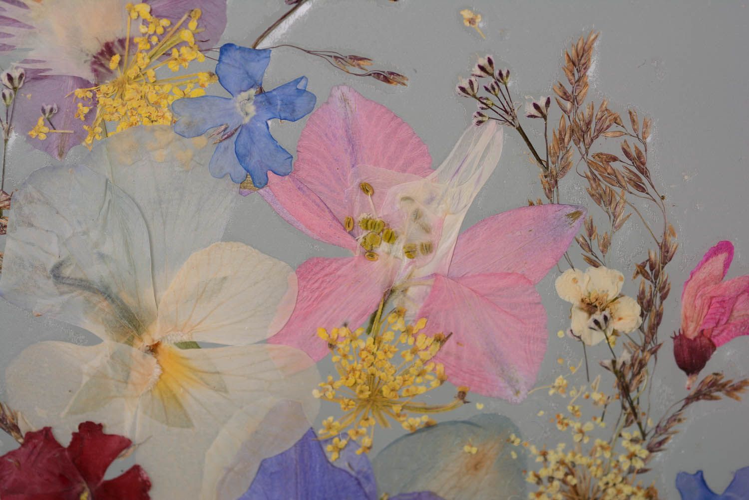 Painting with natural flowers photo 4