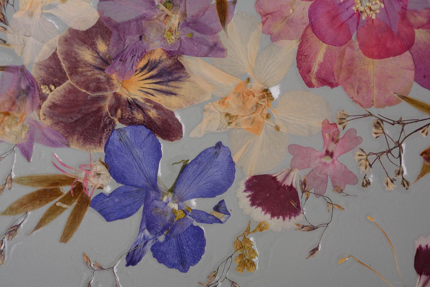 Quadro con fiori secchi fatto a mano quadro insolito decorazione da parete foto 4