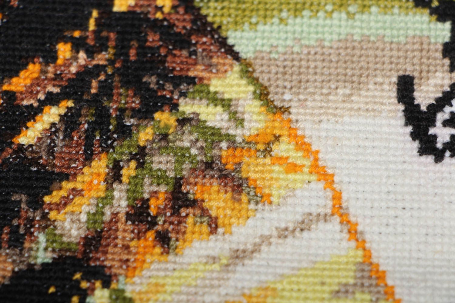 Cross stitched picture Health photo 2