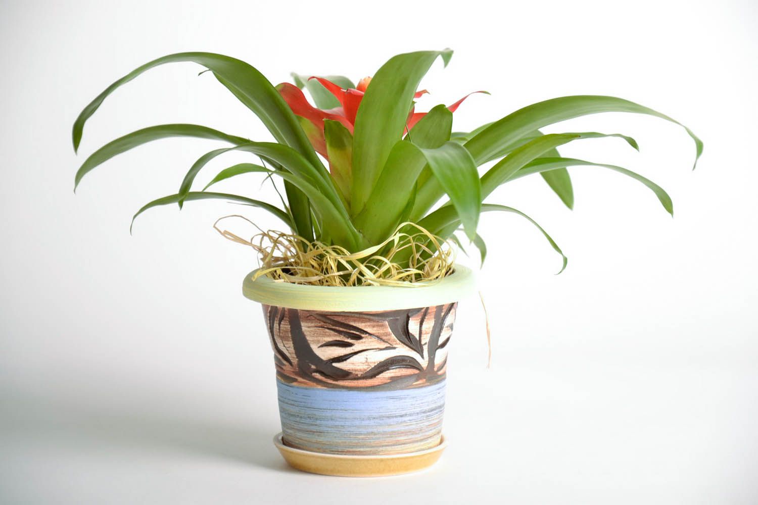 Vaso in ceramica per piante fatto a mano vaso per fiori con sottovaso  foto 2