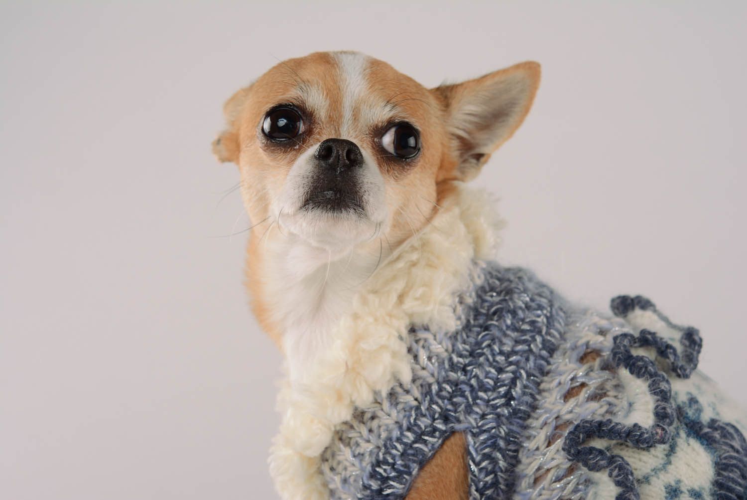 Robe pour chien en laine et mohair Conte hivernal photo 2