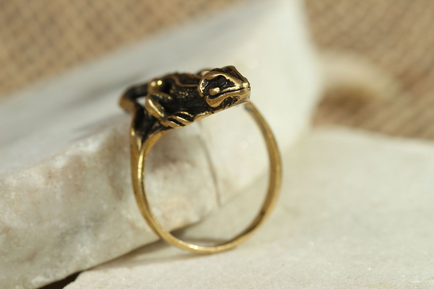 Bronze ring Lizard photo 2