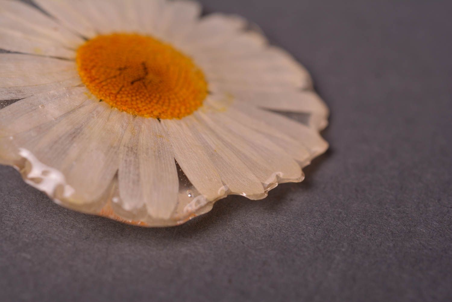 Handmade botanic brooch stylish bijouterie flower accessories modern jewelry photo 4