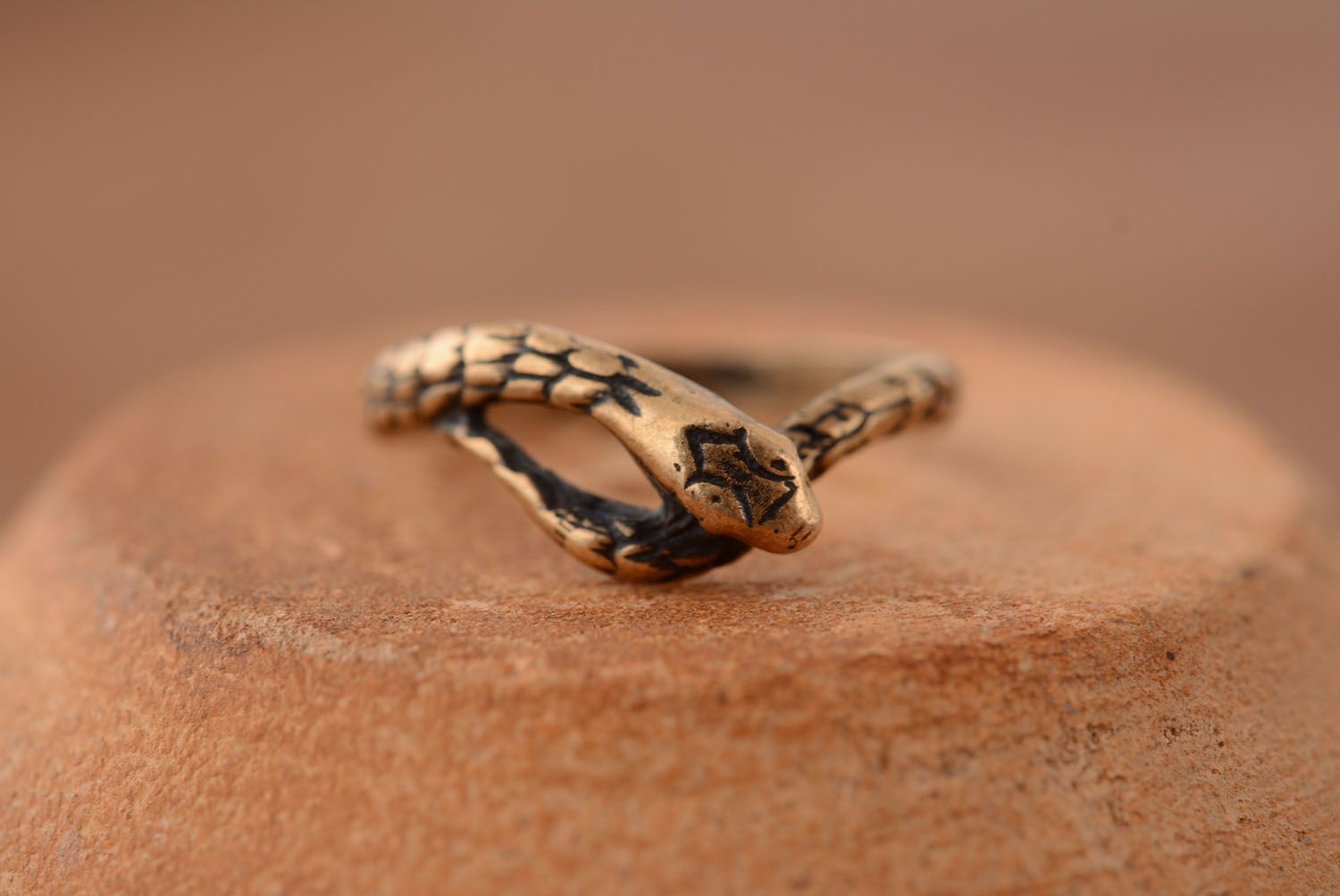 Бронзовое кольцо Змея фото 2
