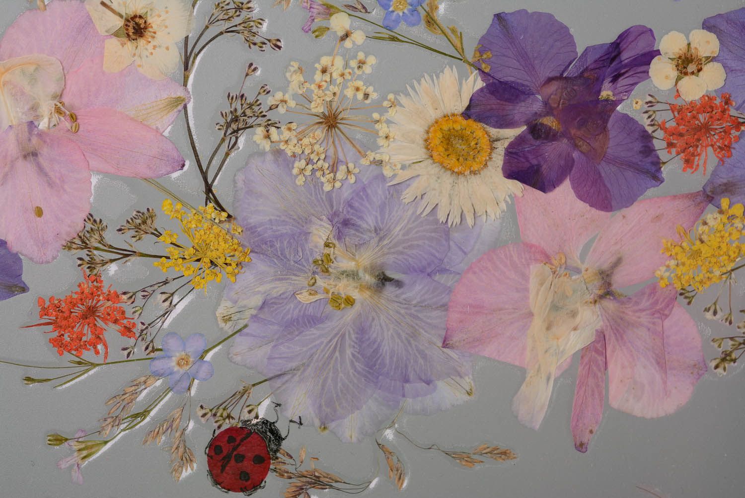 Picture with dried flowers photo 4