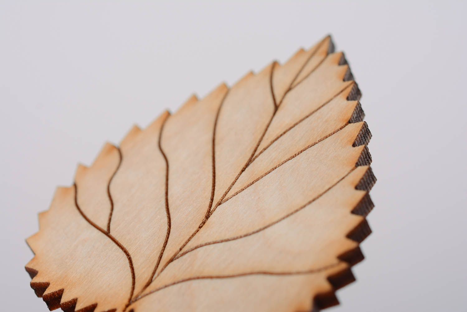 Blank for painting Leaf photo 5