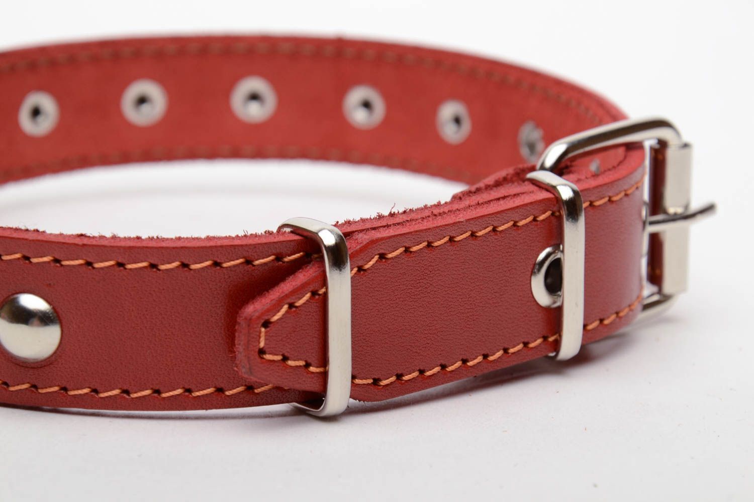 Red dog collar photo 3