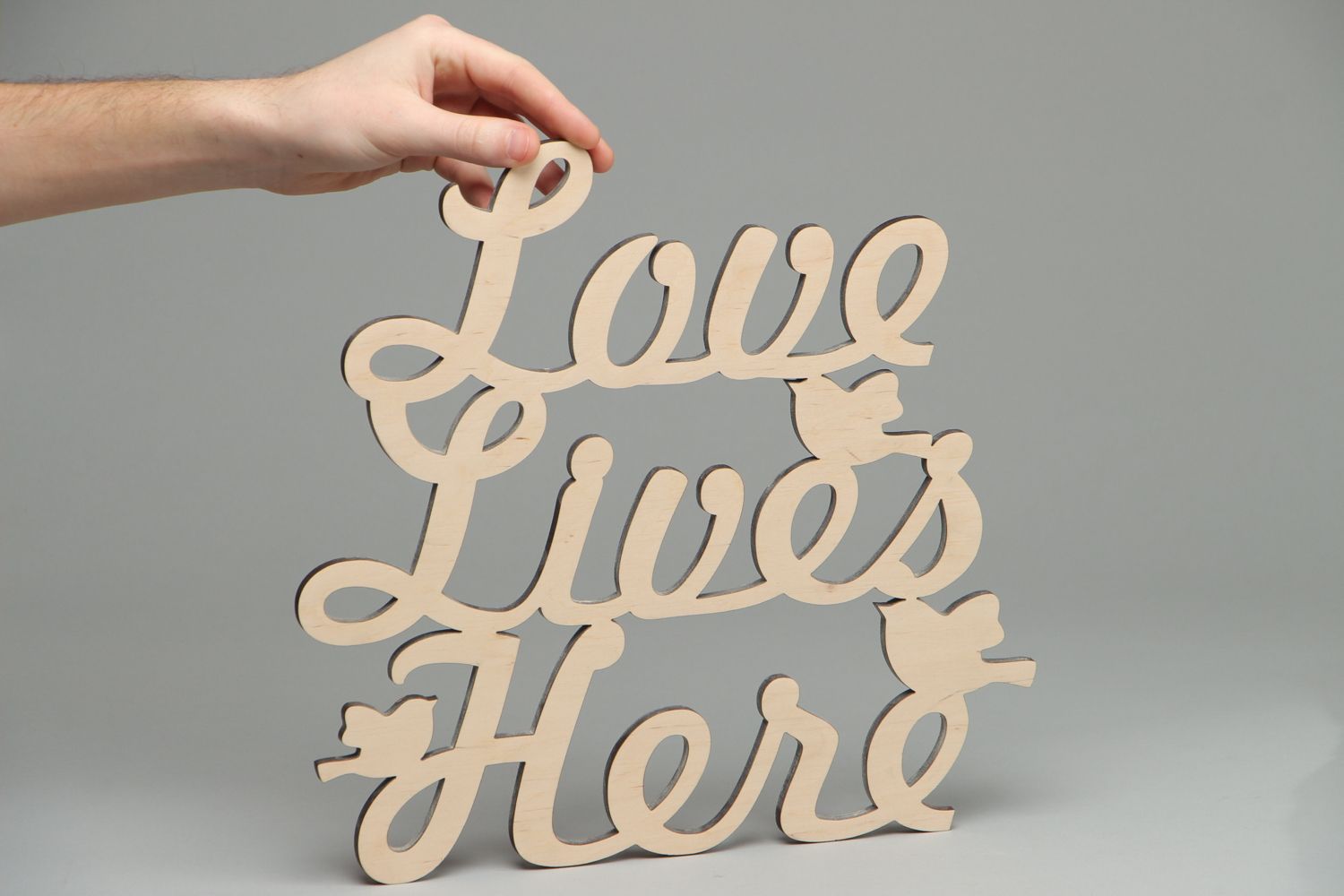 Handmade Holz Chipboard Aufschrift Love Lives Here foto 4