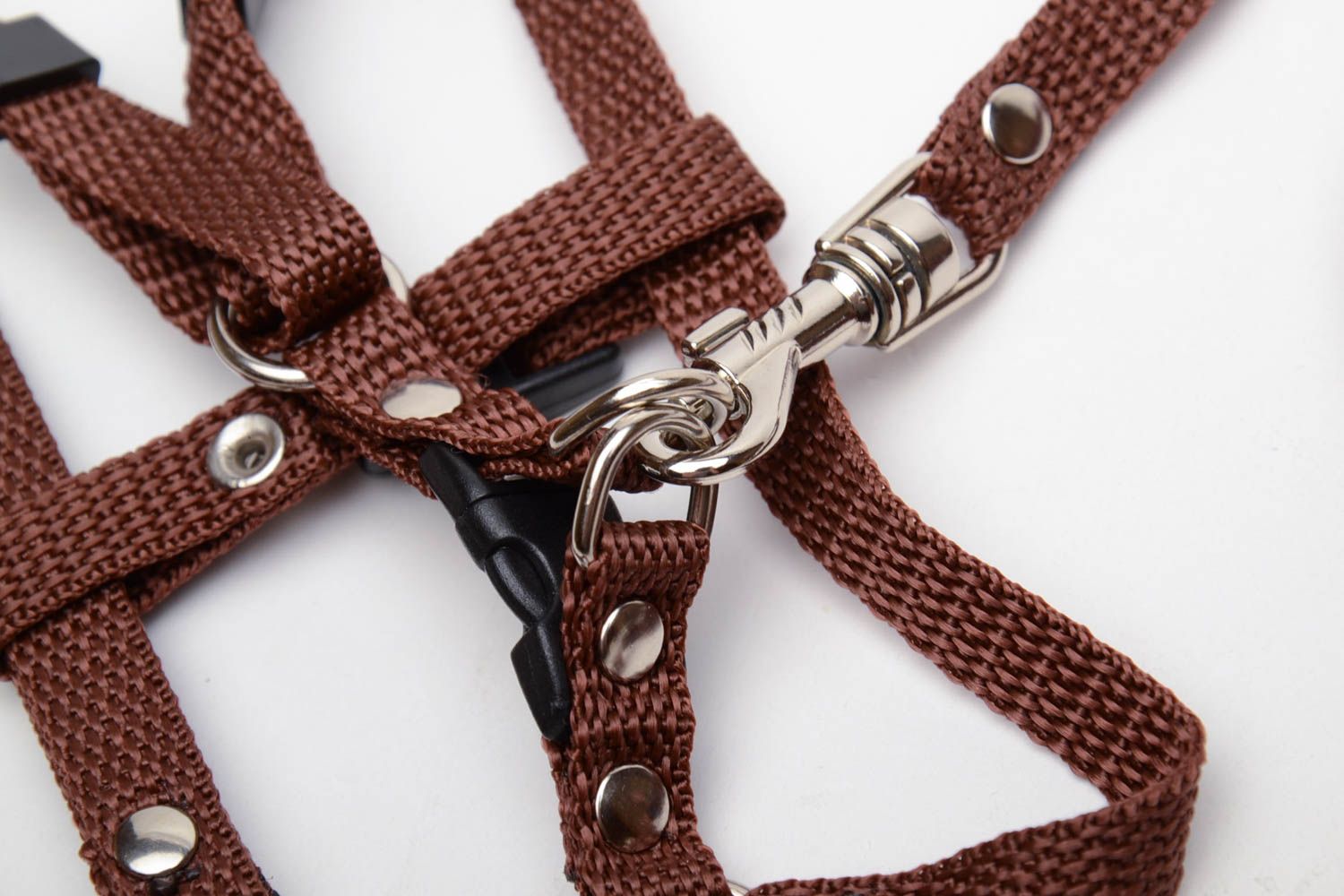 Set of leash and harness made of caprone photo 3