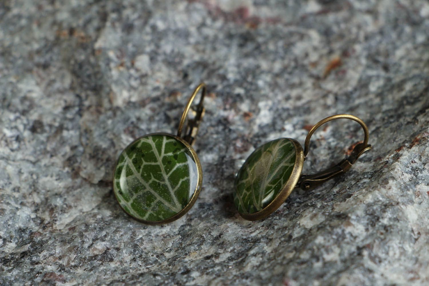 Earrings with Real Plants Fittonia photo 3