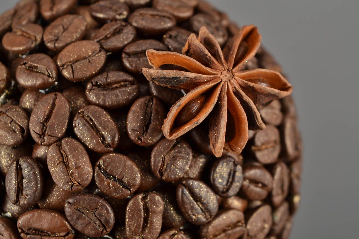 Coffee topiary in a cup photo 5