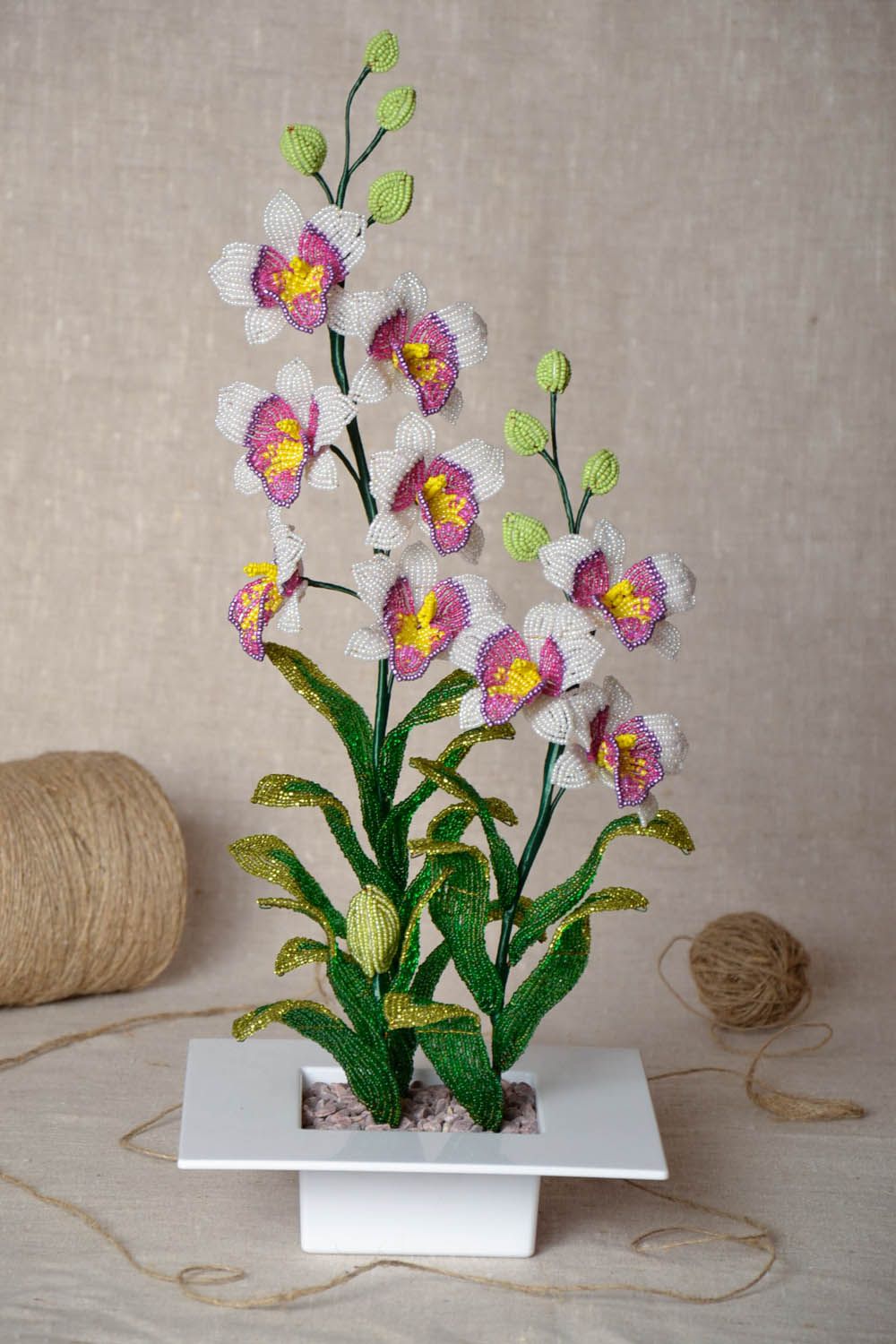 Beaded orchid photo 1