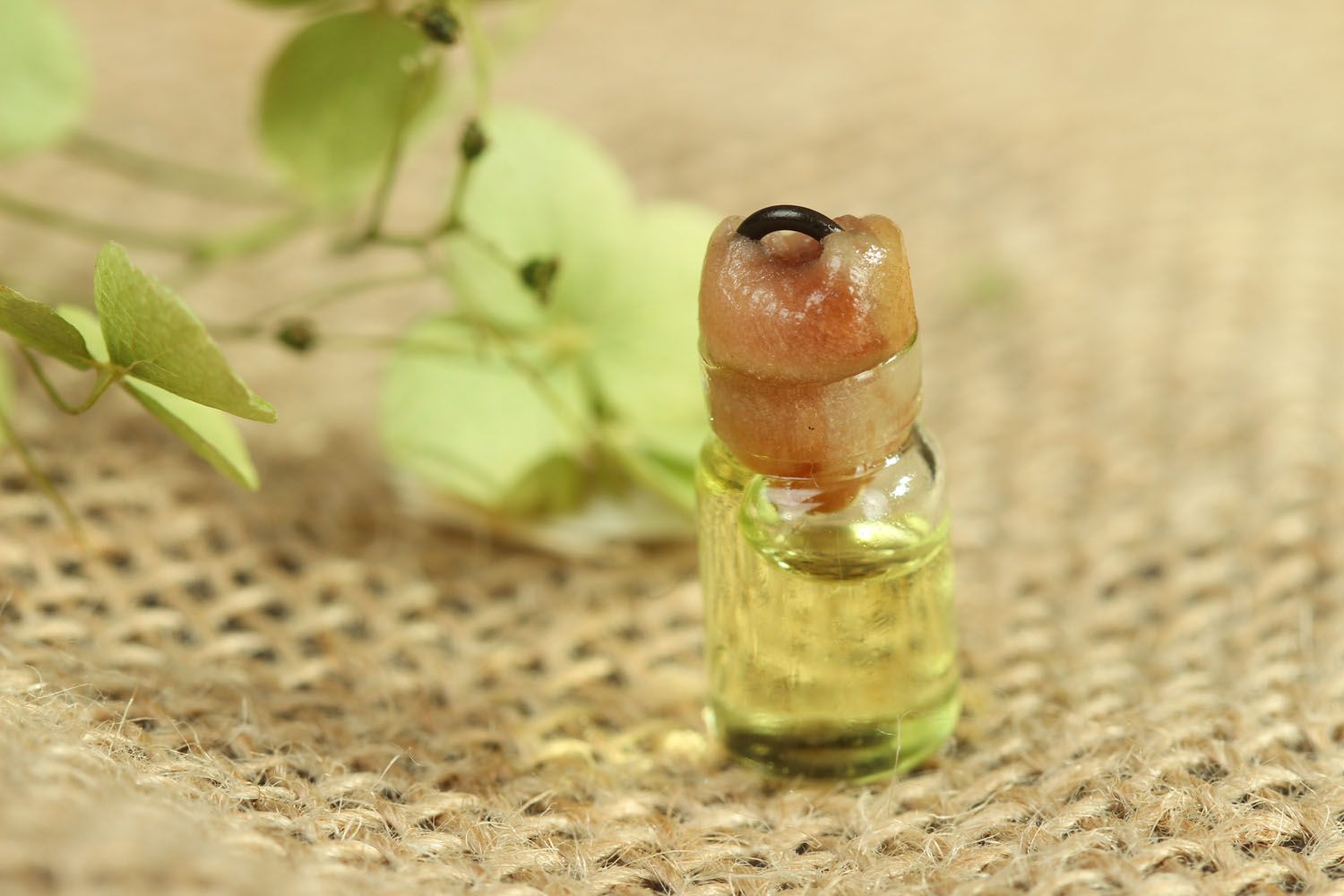 Perfumes de aceite con aroma de hierbas foto 3