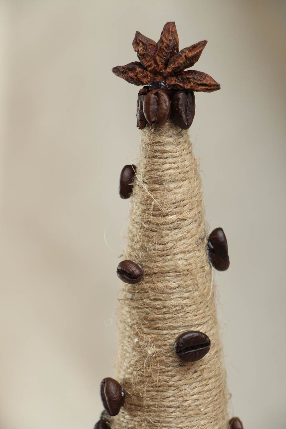 Homemade topiary with coffee grains photo 2