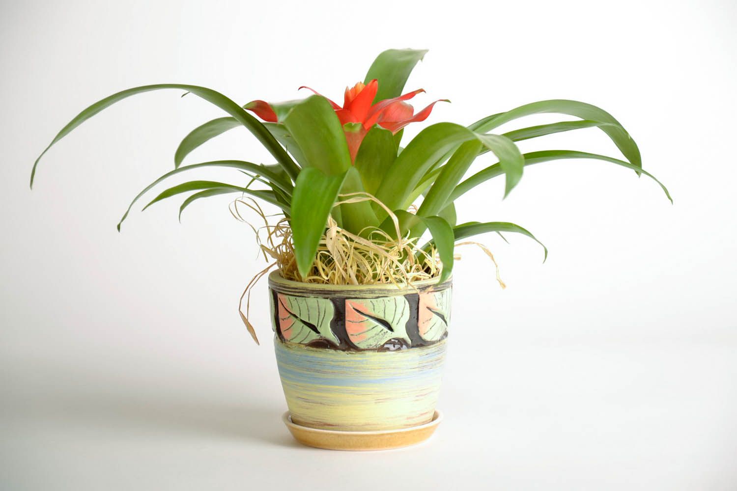 Vaso in ceramica per piante fatto a mano vaso di coccio per fiori con sottovaso  foto 2