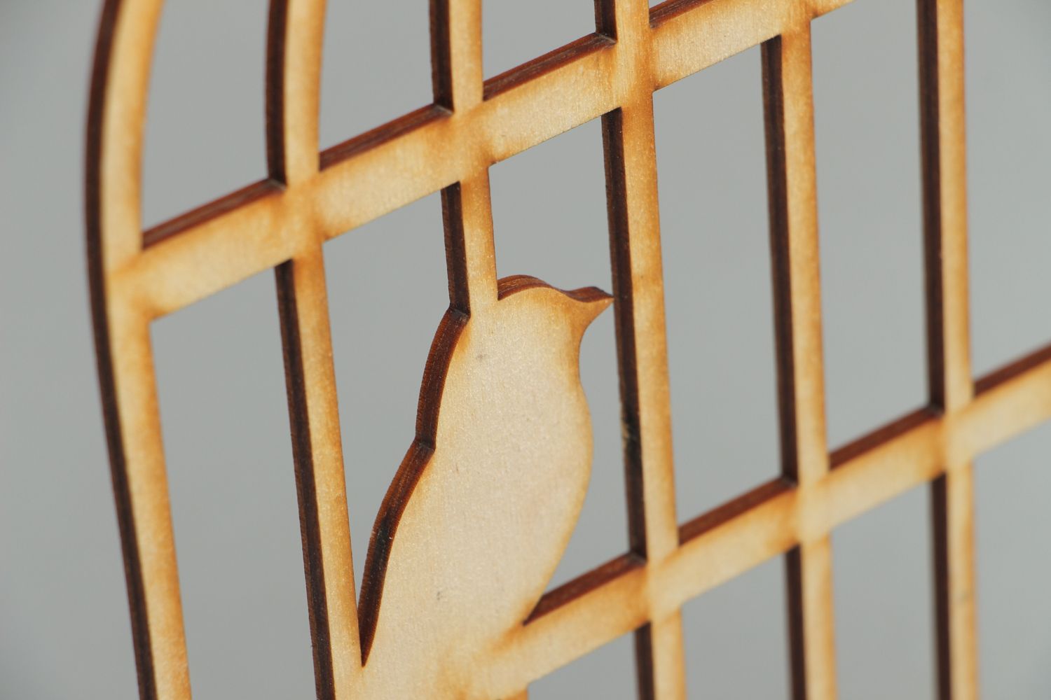 Chipboard scrapbooking fait main en contreplaqué Cage d'oiseau photo 2