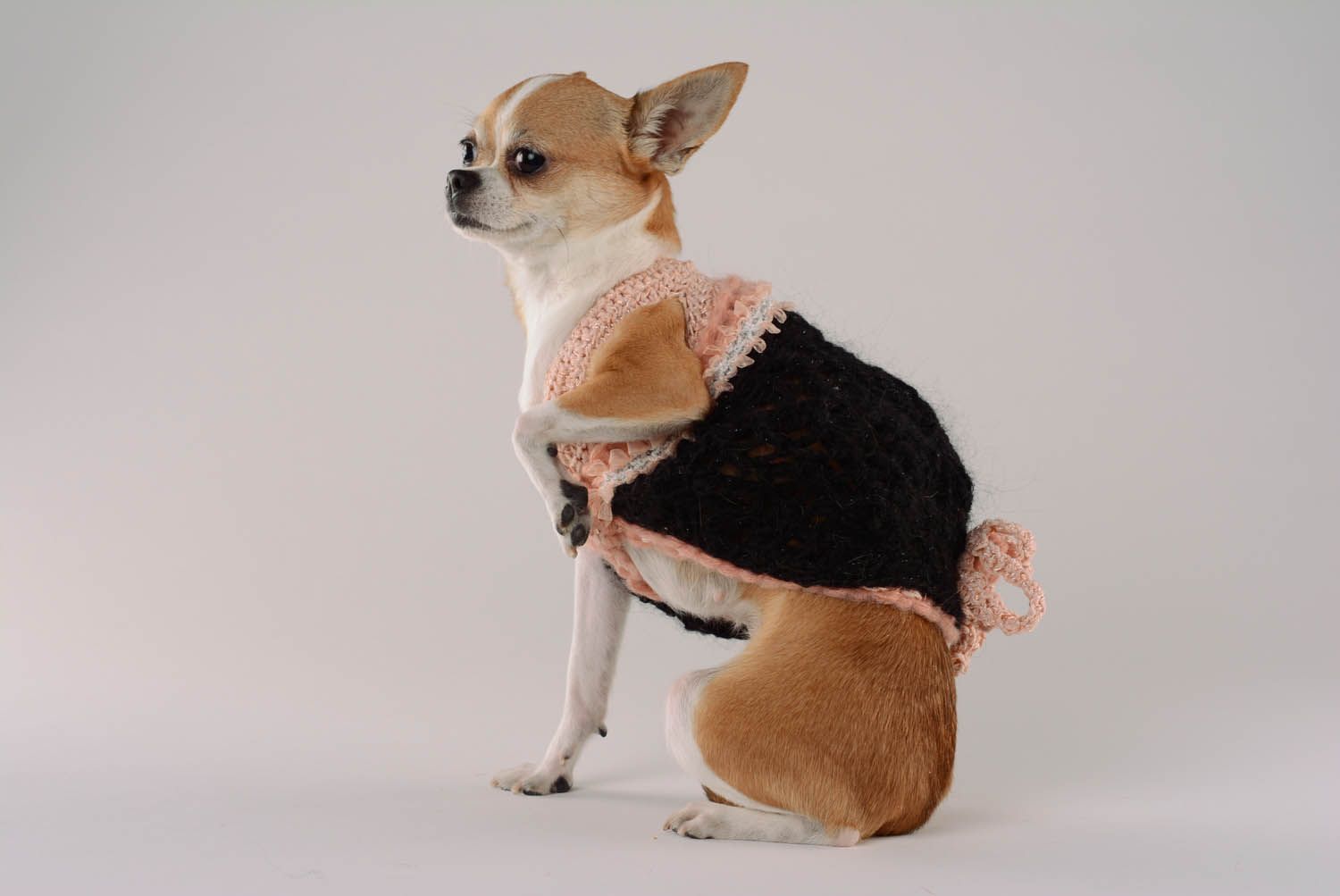 Suéter para cão feita à mão de tecido Encanto do vintage foto 4
