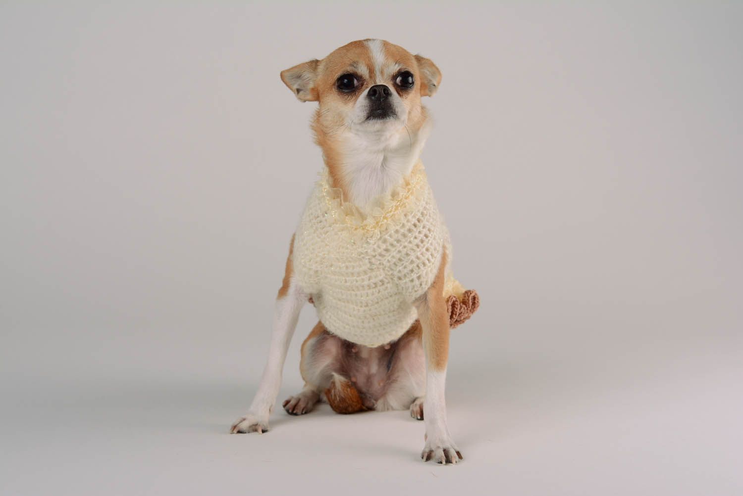Hand knitted dress for a dog Waffles and lace photo 4
