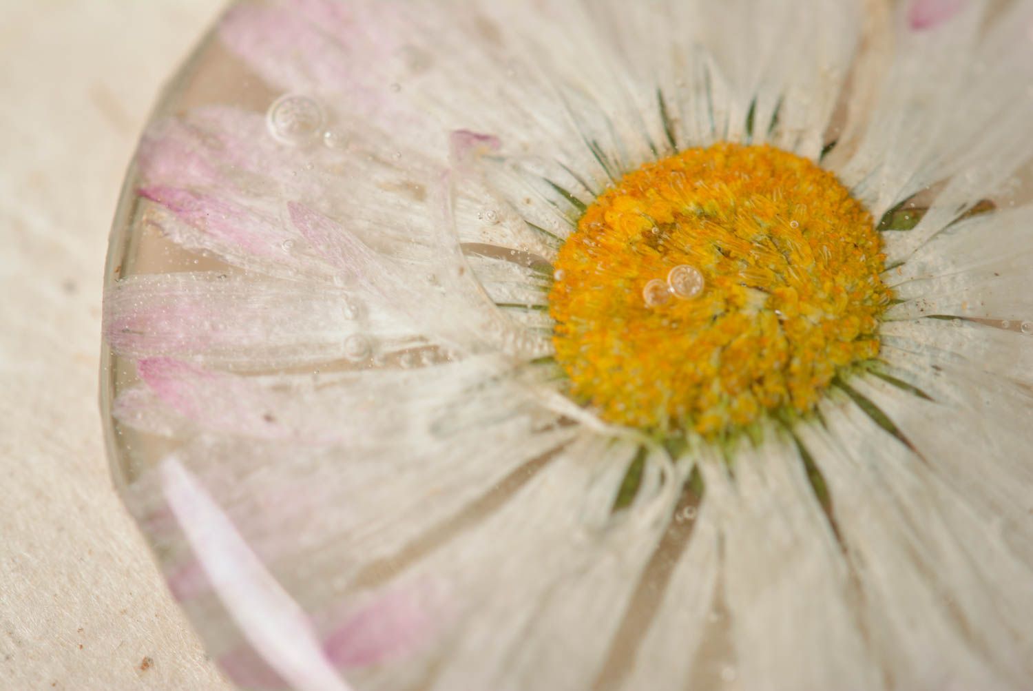 Handmade runder Anhänger mit echter Blume Kamille mit Epoxidharz an langer Kette foto 3