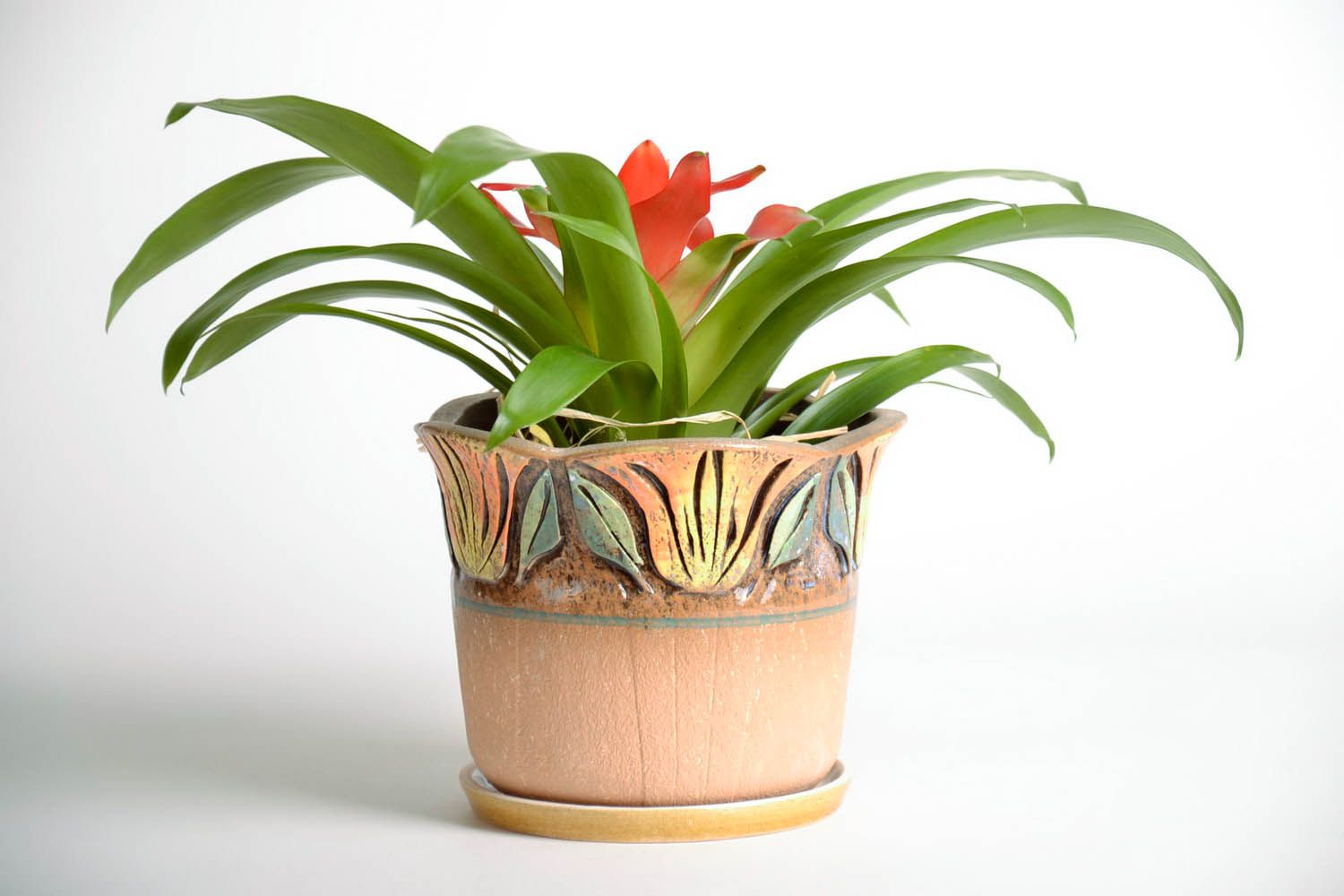 Ceramic flowerpot for one plant Crocus photo 1
