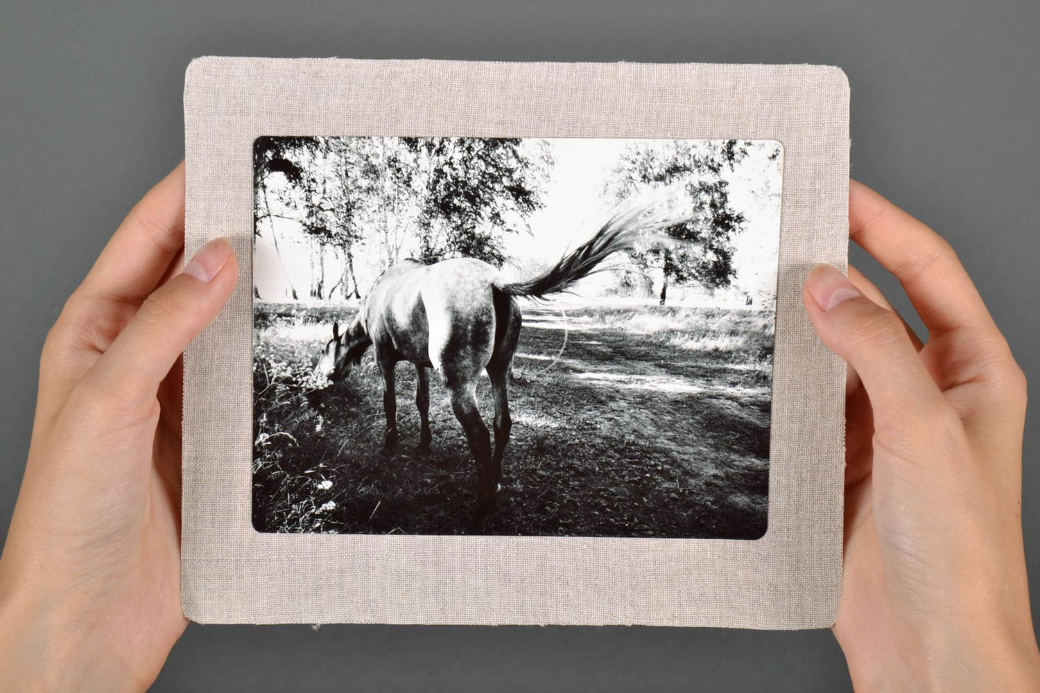 Большая черно-белая открытка Лошадь фото 5