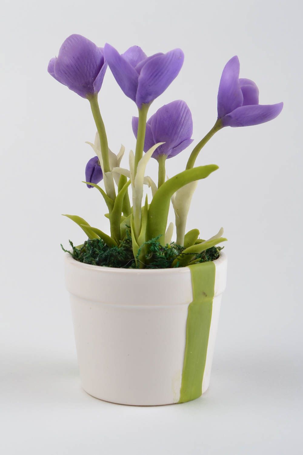 Composition florale fait main Fleurs en pot crocus violet Décoration maison photo 5