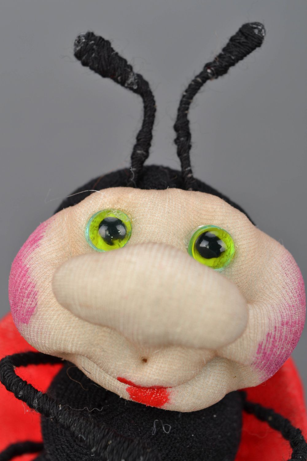 Interior capron sock doll Ladybug photo 3