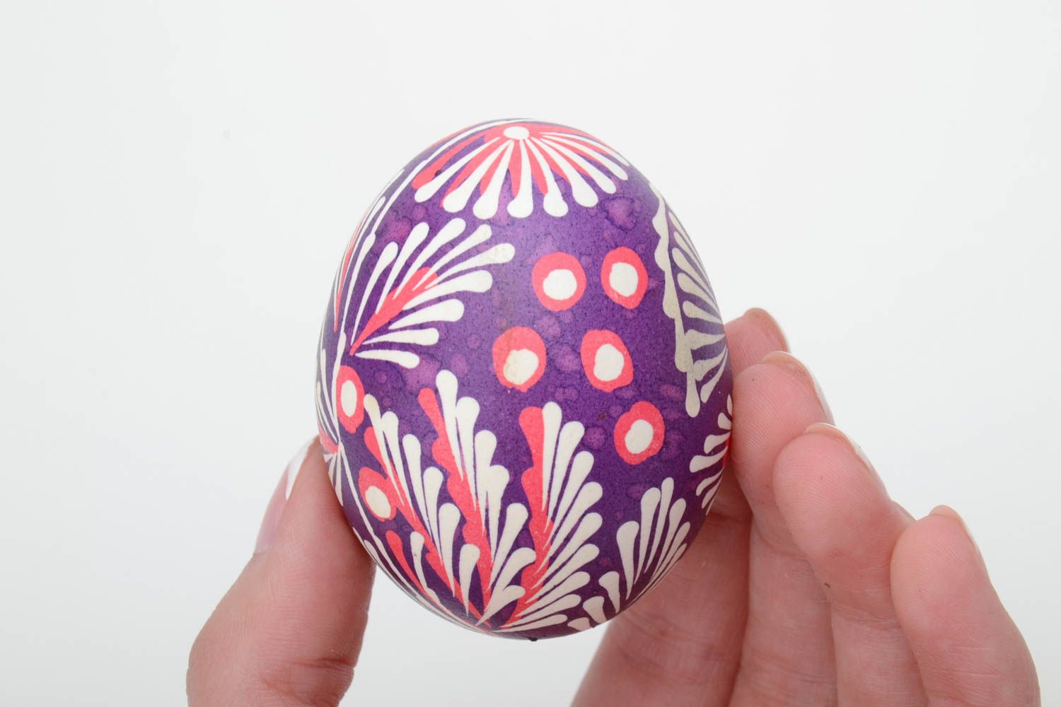 Huevo pintado arteanal en la técnica lemkivska con ornamentos de colores blanco y violeta foto 5