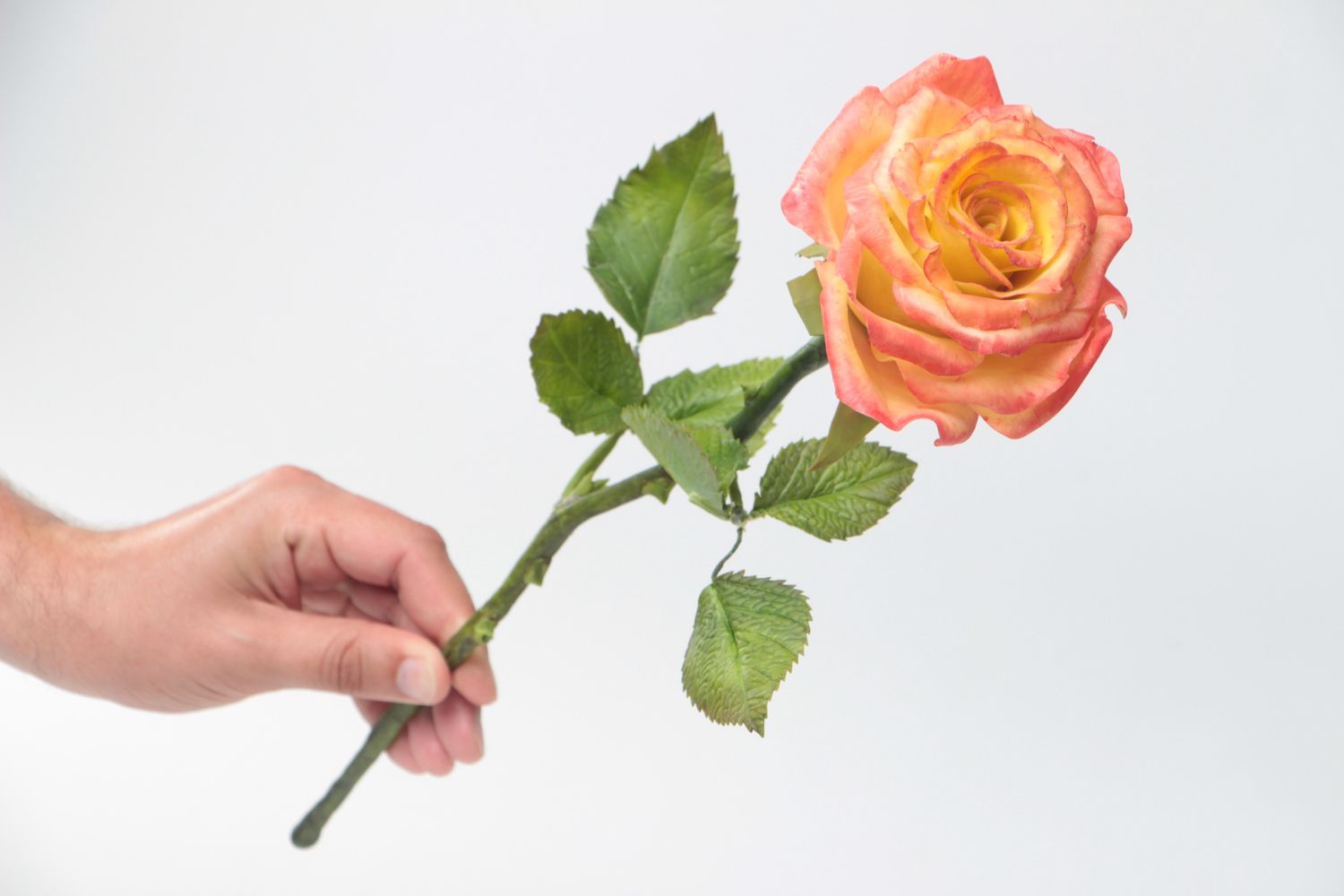 Цветок из полимерной глины с росписью масляными красками ручной работы Роза фото 5