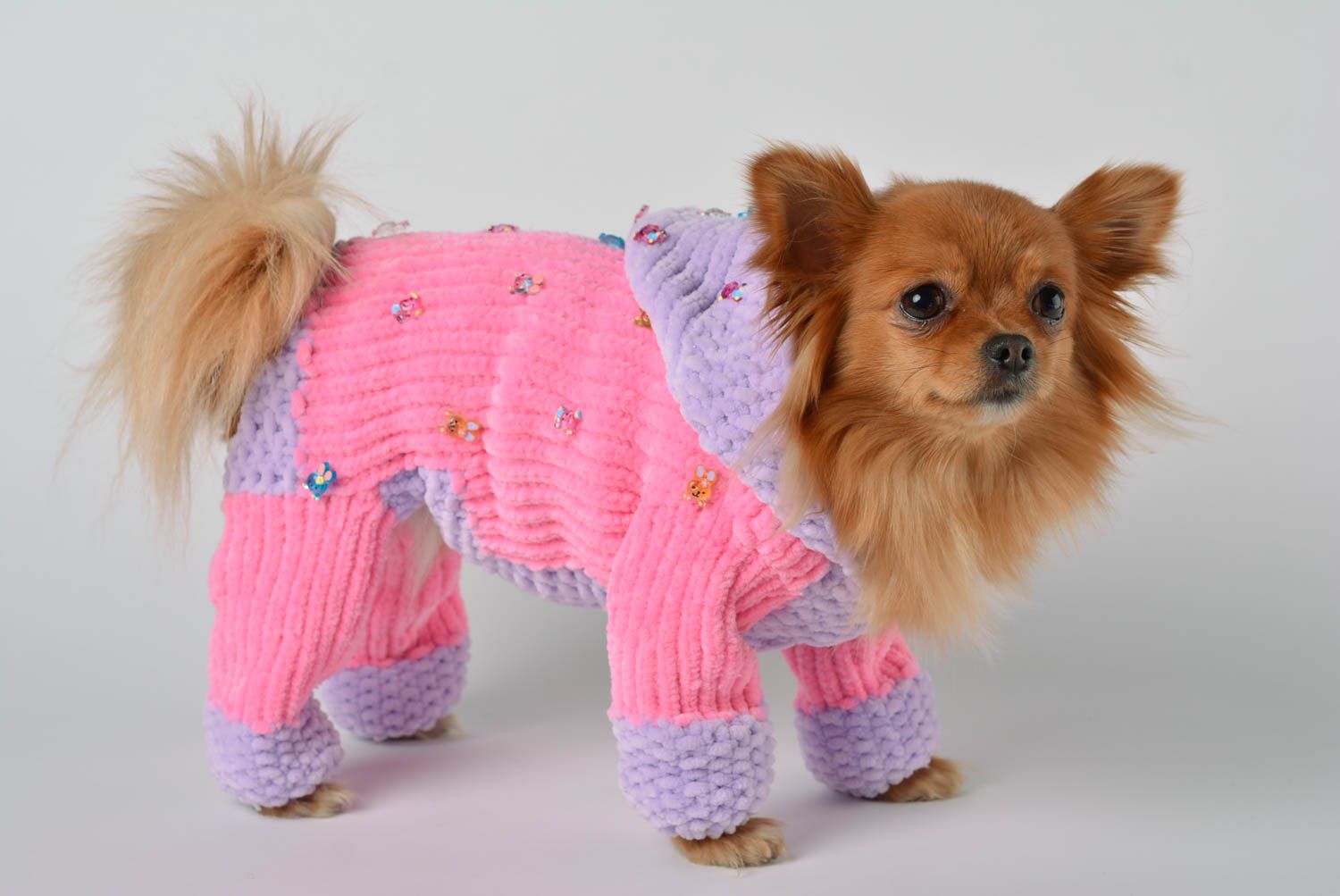 Handmade knitted suit for pets designer unusual present accessory for dogs photo 1