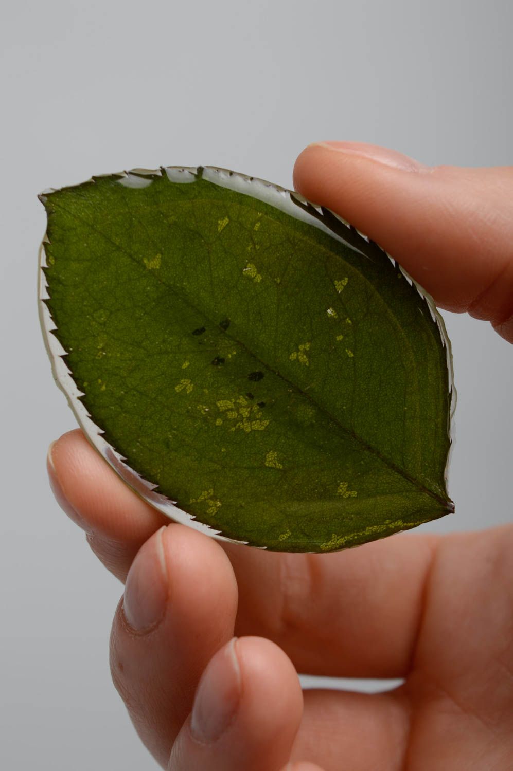 Leaf brooch coated with epoxy resin photo 3