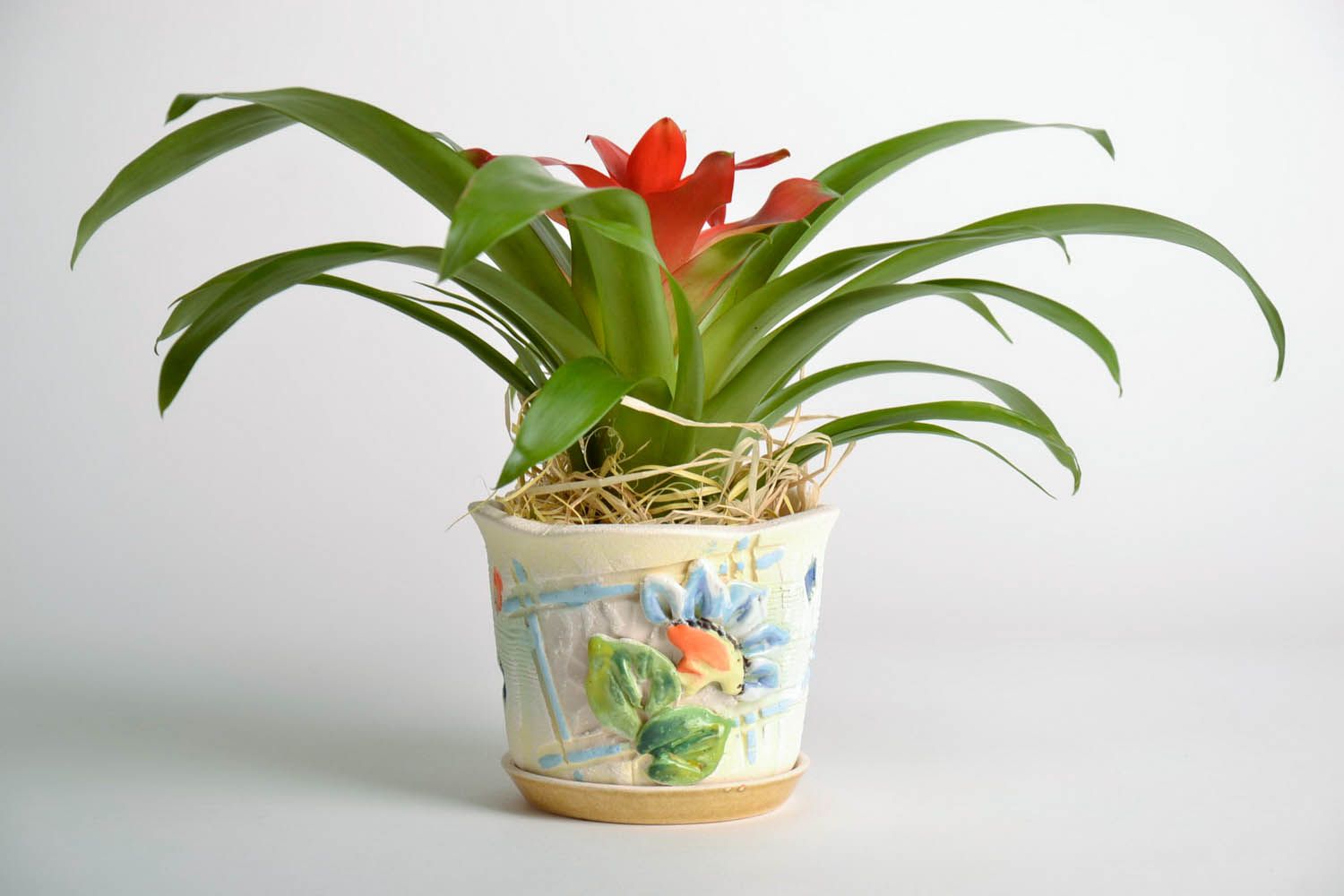 Clay flowerpot Crocus photo 1