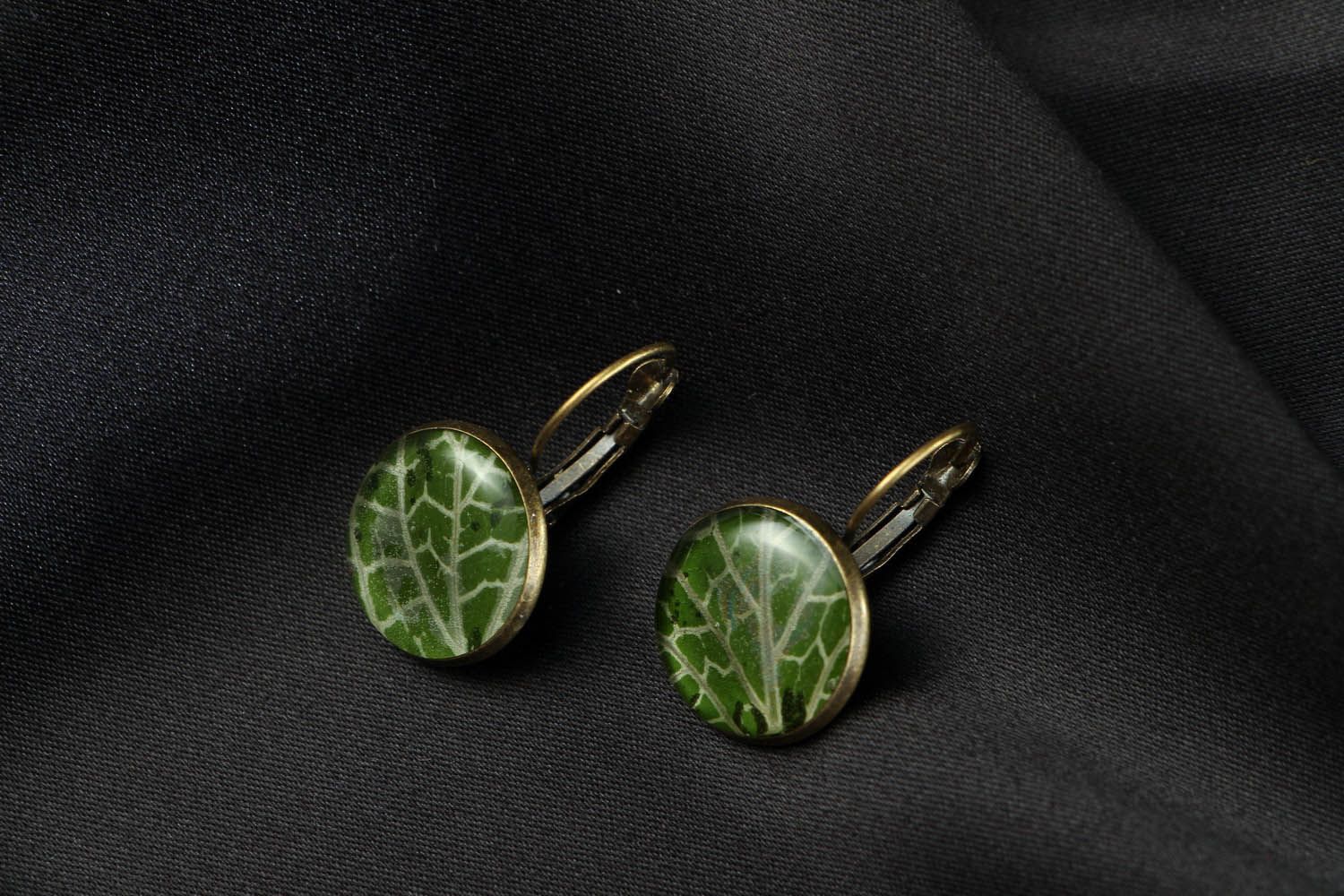 Earrings with Real Plants Fittonia photo 1