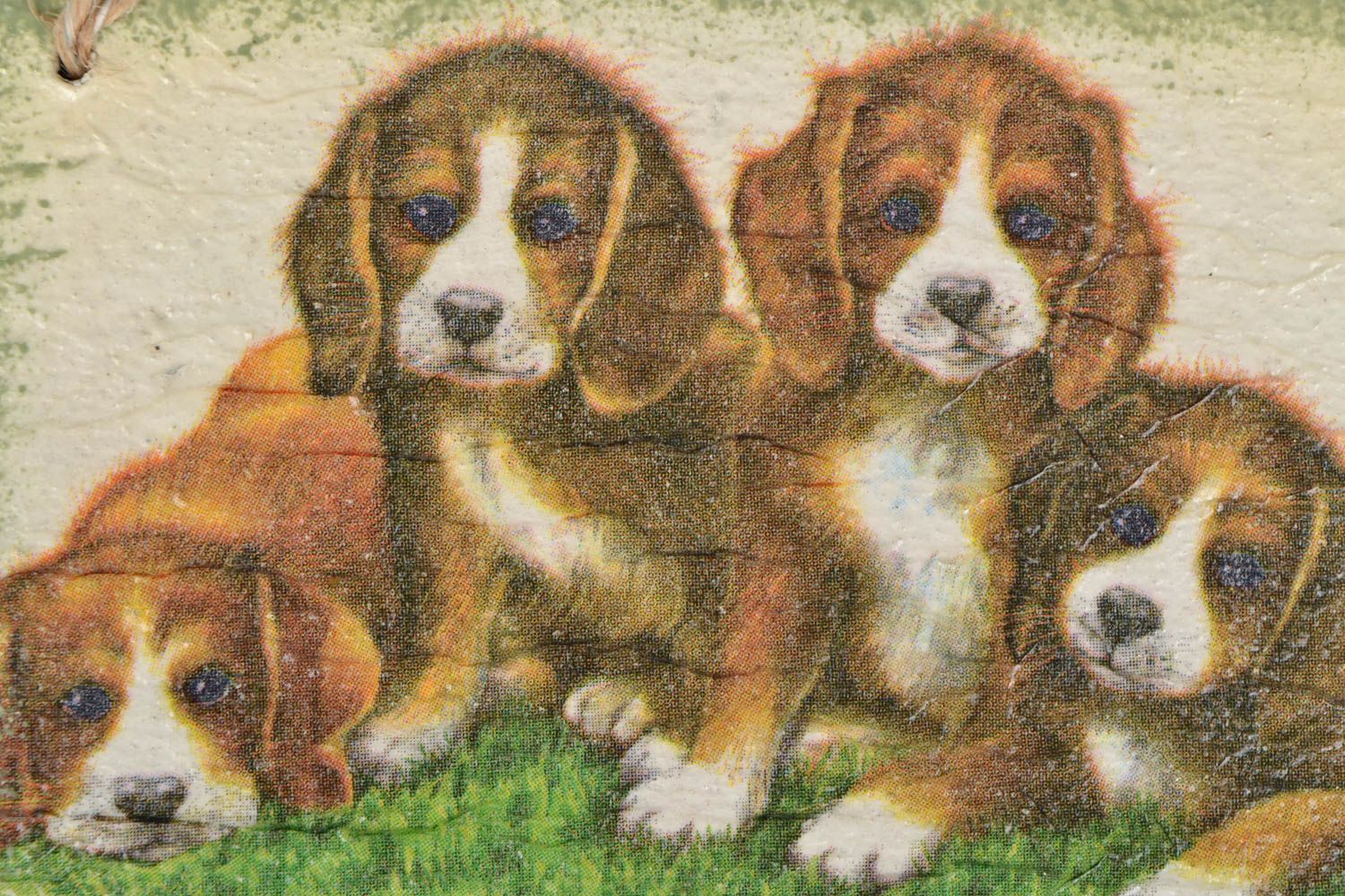 Double panel Puppies photo 3