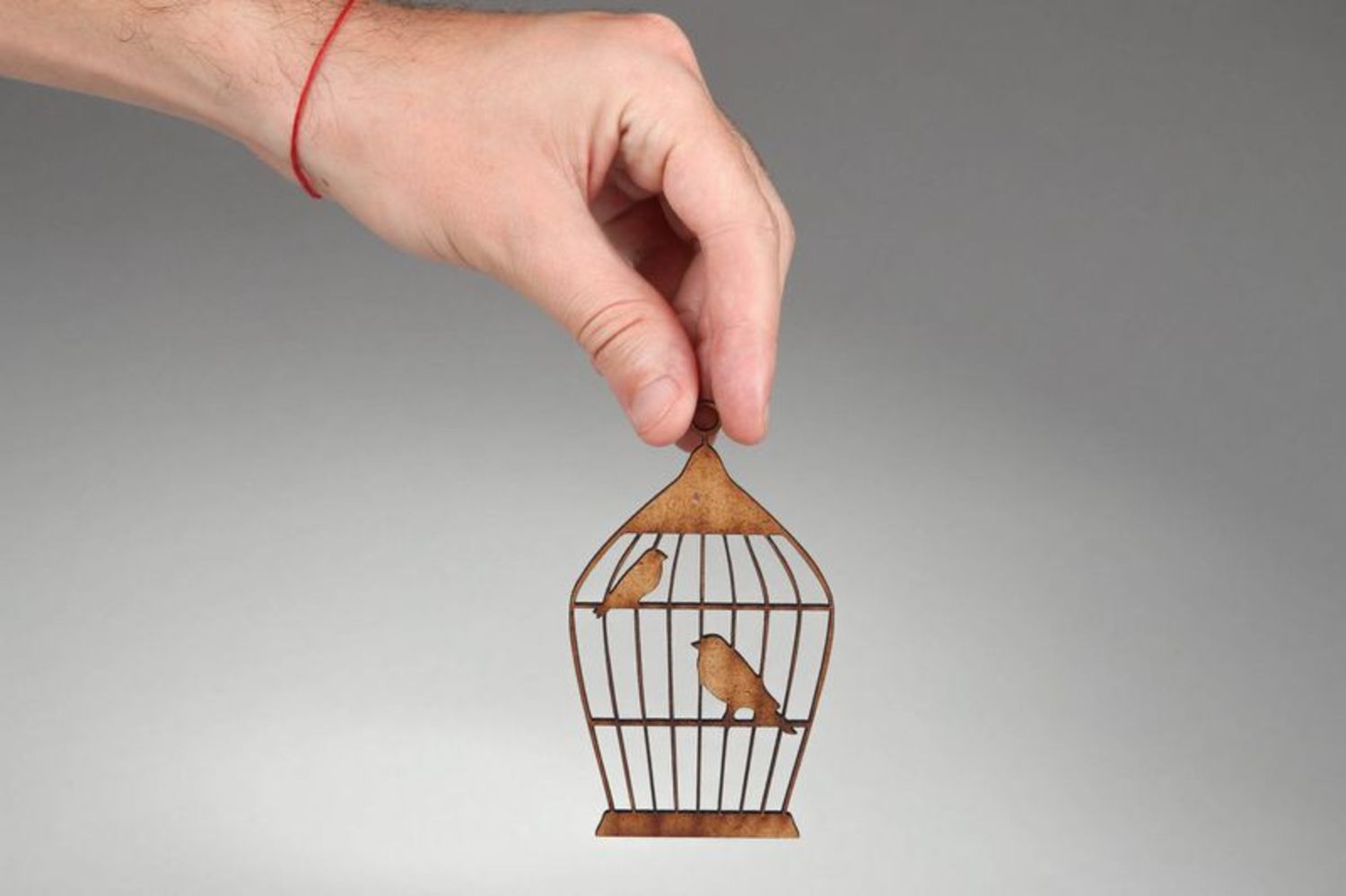 Chipboard scrapbooking en bois Oiseaux en cage photo 3