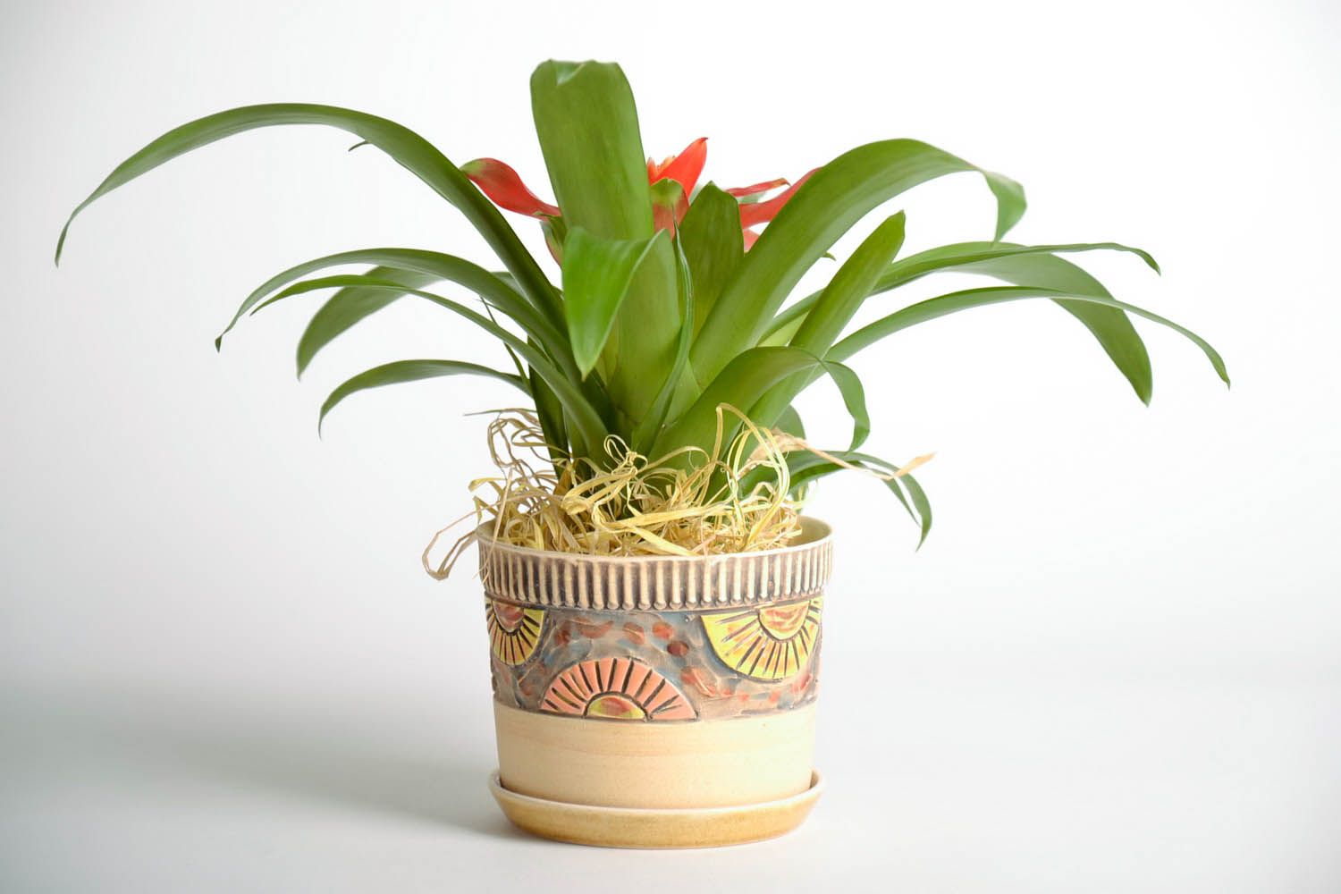 Ceramic flowerpot Stroke photo 2