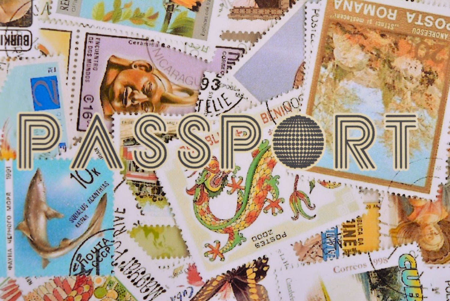 Обложка на паспорт хэндмэйд оригинальный подарок обложка для документов силикон фото 3
