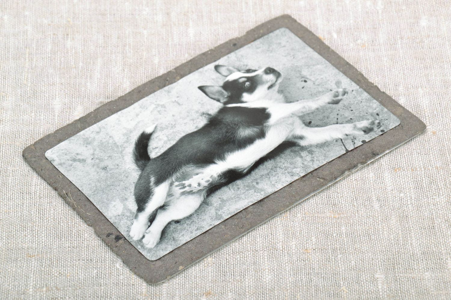 Author's postcard Dog photo 3