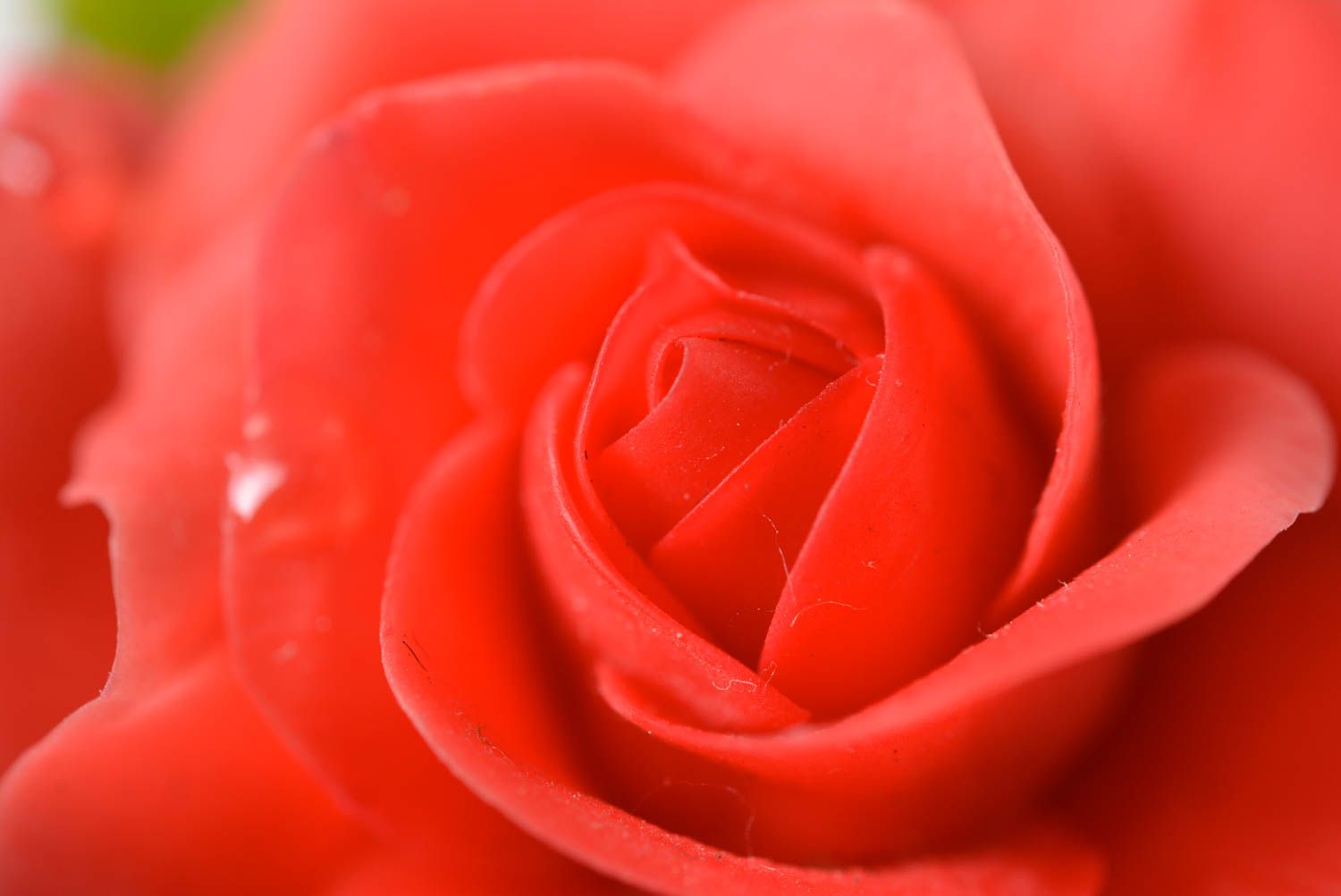 Barrette à cheveux fleur rose rouge de design faite main en pâte polymère photo 4