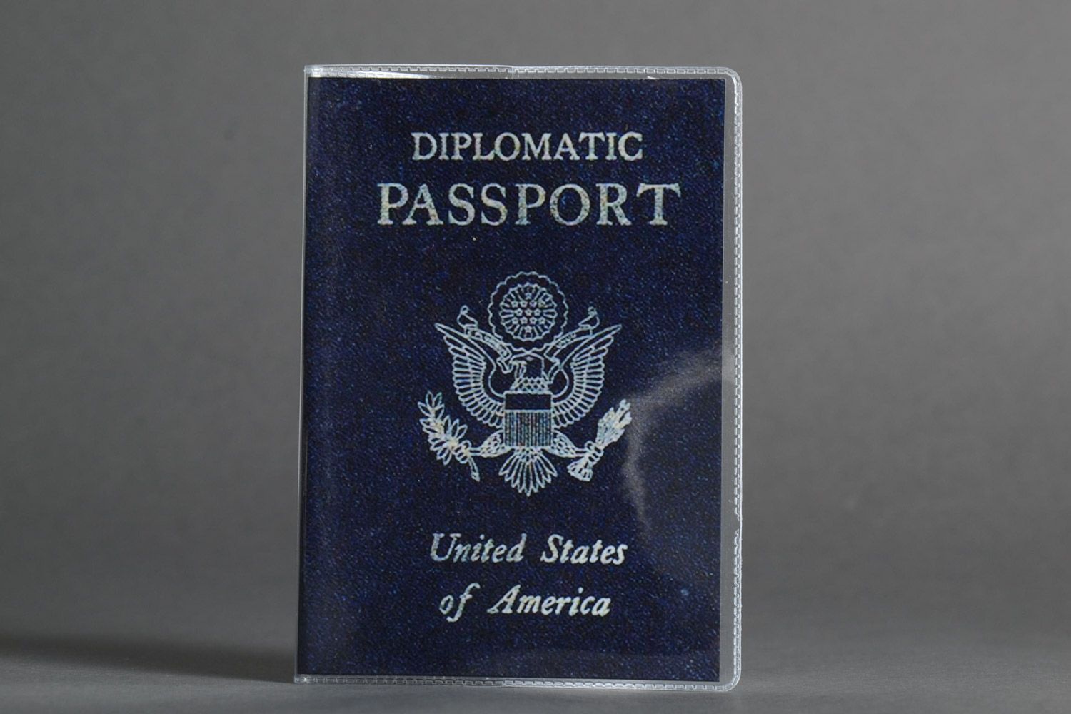 Protège-passeport en plastique original bleu accessoire fait à la main photo 1